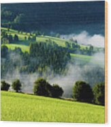 Misty Valley In Austria Wood Print