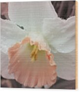Mom's Birthday Daffodil Wood Print
