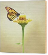 Monarch Butterfly On Flower Wood Print