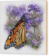 Monarch With Closed Wings Wood Print