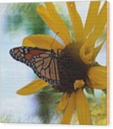 Monarch With Sunflower Wood Print