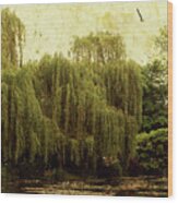 Monet's Garden Wood Print