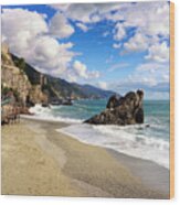 Monterosso Al Mare Wood Print