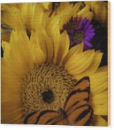 Moody Sunflower Wood Print