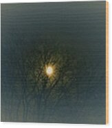 Moon In Silhouette Wood Print