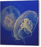 Moon Jelly Wood Print