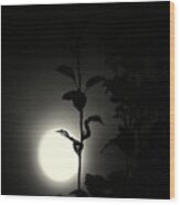 Moon Wood Print