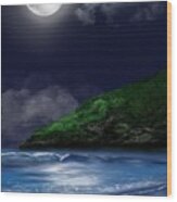 Moon Over The Cove Wood Print