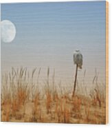 Moon Rise Snowy Owl Wood Print