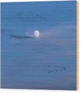 Moon Rises Geese Fly Wood Print