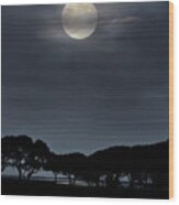 Moonrise Over The Marsh. Wood Print