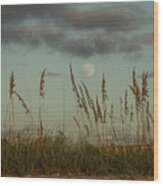 Moonrise St. Pete Beach Wood Print