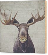 Moose Wood Print