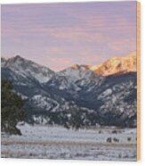 Moraine Park - Rocky Mountain National Park Wood Print
