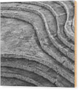 Moray Lines Wood Print