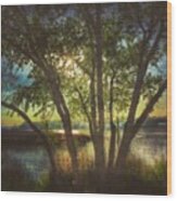 Morning Along The Bayou #tree #bayou Wood Print