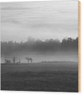 Morning Fog Bw Wood Print