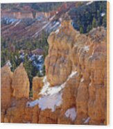 Morning Light On Hoodoos Wood Print