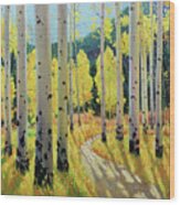 Morning Lights Of Aspen Trail Wood Print