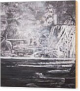 Morning Mist -theresa Falls Wood Print
