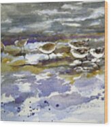 Morning Sandpipers At The Beach Wood Print