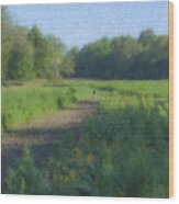 Morning Walk At Langwater Farm Wood Print