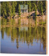 Mosquito Lake California 95223 Wood Print