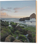 Mossy Rocks At The Beach Wood Print