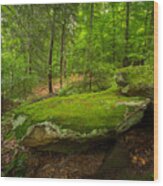 Mossy Rocks In Little Creek Park Wood Print
