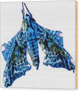 Moth Tee Blue Wood Print