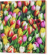 Motley Bunch Of Dutch Tulips Wood Print