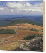 Mount Moosilauke Summit Wood Print