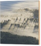 Mount Prevost Fog Wood Print