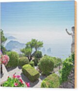 Mount Solaro Of Capri Wood Print