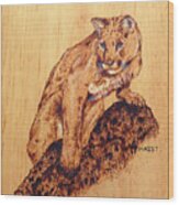 Mountain Lion Wood Print