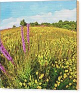Mountain Of Summer Flowers In The Blue Ridge Ap Wood Print