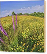 Mountain Of Summer Flowers In The Blue Ridge Wood Print