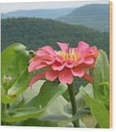 Mountain Top Flower Wood Print