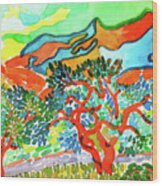 Mountains At Collioure Wood Print