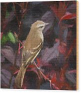 Mouse Colored Tyrannulet Panaca Quimbaya Colombia Wood Print
