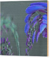 Mprints - Wisteria Wood Print