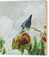 Mr Jay And The Sunflowers Wood Print