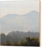 Mt. Pisgah In The Mist Wood Print