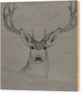 Mule Deer 1 Wood Print