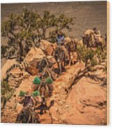 Mule Train In Grand Canyon Wood Print