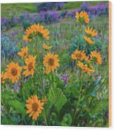 Mule's Ear And Lupine Wood Print