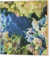 Multicolor Hydrangeas Wood Print