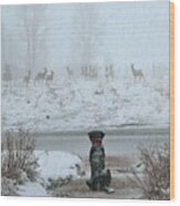 Murphy Watches The Deer Wood Print