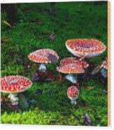 Mushroom Poisoning Wood Print