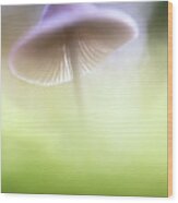 Mushroom Ufo Wood Print